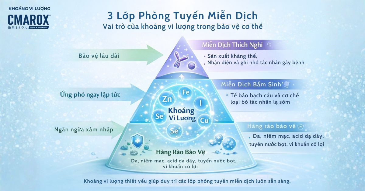 3-lop-phong-tuyen-cua-he-mien-dich
